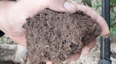 Día del Productor Agropecuario: el suelo cuyano como motor de exportación y futuro