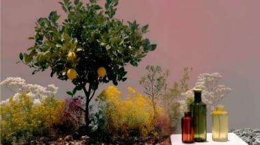 Verallia anticipa el envase del futuro: así cambiarán las bebidas según el consumidor 2026