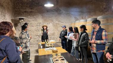 Mendoza, capital del oleoturismo argentino: claves de un nuevo modelo turístico y productivo