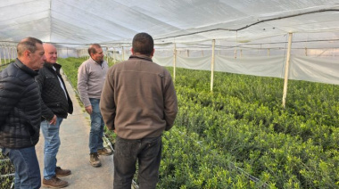 Una finca mendocina con 500 hectáreas ofrece oportunidades de inversión con alto potencial de retorno