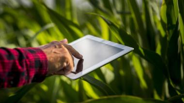 La digitalización en el negocio agropecuario: Agrospot conecta productores y compradores en un nuevo modelo