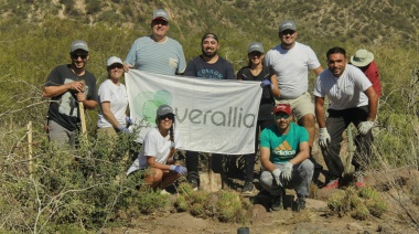 Tras el incendio del 2018, la original idea de una empresa líder en envases para reforestar el Cerro Arco