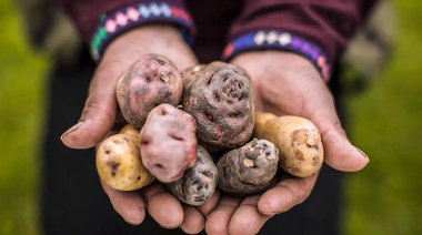 Habemus Papas: el festival de alta cocina que honra la tradición andina en el Valle de Uco