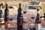 Molinos Fincas & Bodegas: el gigante del vino que ya controla cuatro bodegas emblemáticas