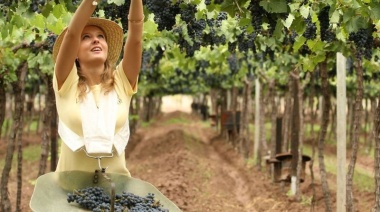 Vistalba Wine Tours: el arte de crear experiencias enológicas a medida en Mendoza