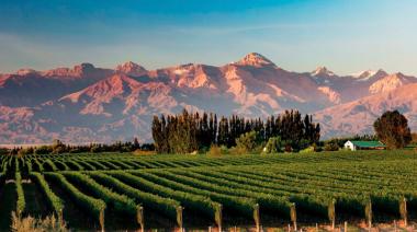 Primera en su tipo: llega la primera diplomatura de Argentina en Innovación y Gestión del Enoturismo