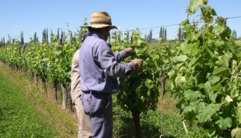 El BID aprobó un préstamo de US$ 40 millones para la vitivinicultura argentina