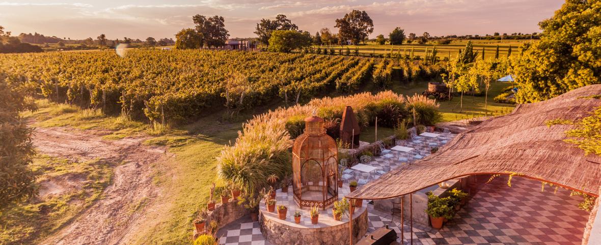 Vinos, naturaleza y turismo ABC1: así será Narbona Agrelo, el nuevo proyecto de lujo liderado por Jorge Brito en Mendoza