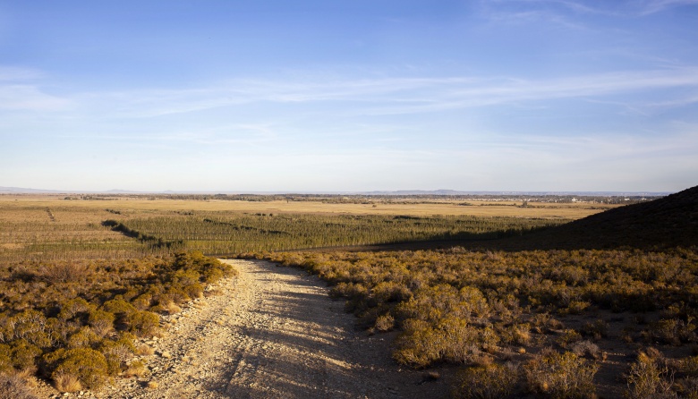 El punto más austral: el Valle de Sarmiento, en Chubut, ya tiene su propia Indicación Geográfica