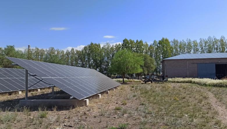 Financiamiento verde: HSBC promueve proyectos sustentables en el sector vitivinícola