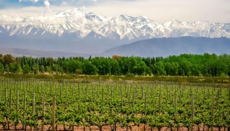 Mendoza será sede del Primer Encuentro Nacional de Turismo Gastronómico