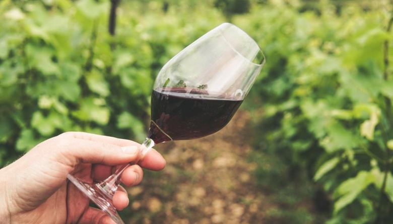 El INV simplificó los trámites para la elaboración de vinos artesanales y caseros