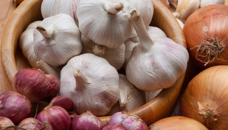 Ajos, cebollas, nueces: cuáles son las frutas y hortalizas de Mendoza más buscadas en el mundo