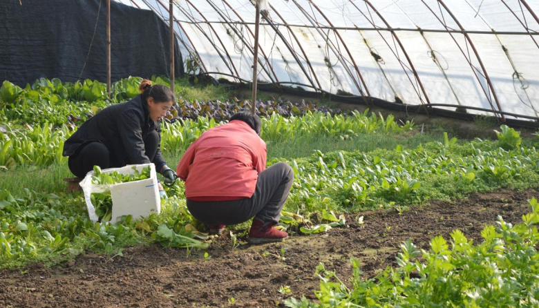 Caso de éxito: Mendoza consolida su posición como referente global en agro y sostenibilidad