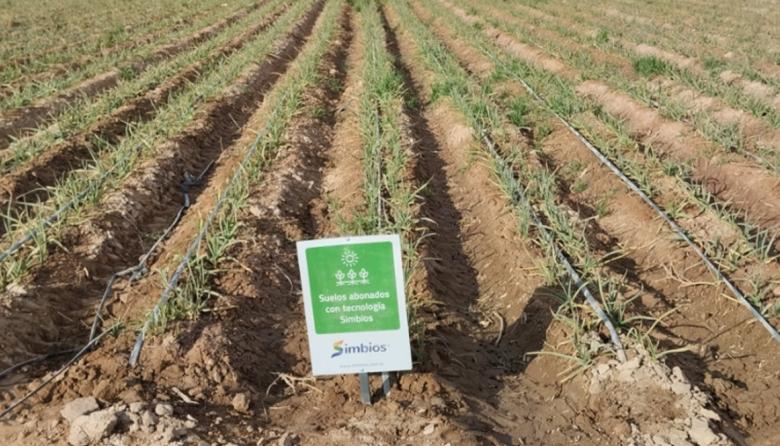 De la raíz al rinde: cómo la empresa Simbios aplica ciencia viva en los suelos de Cuyo