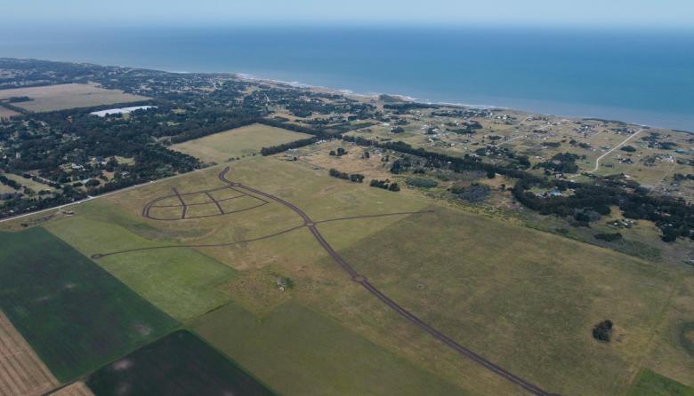 Viticultura oceánica: Una nueva ruta del vino emerge en la costa sur bonaerense