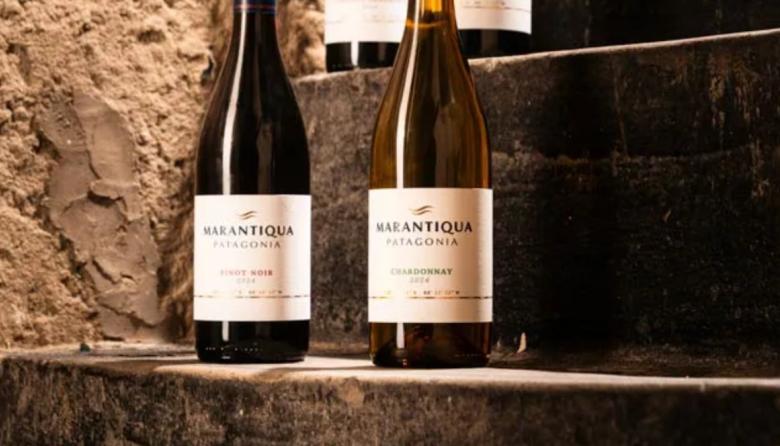 En Neuquén: Marantiqua, la nueva bodega patagónica de Grupo Peñaflor