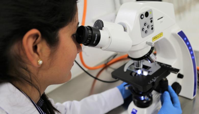 Mendoza lanza el programa WISE para potenciar empresas de base tecnológica