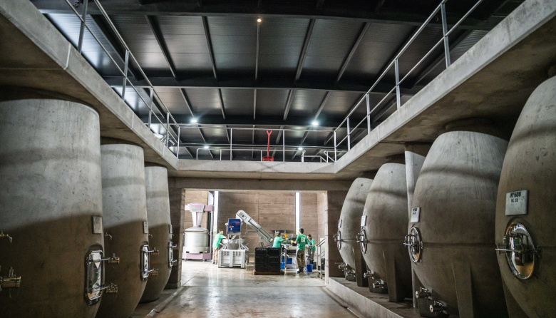 Por primera vez Santa Julia fue nominada a "Mejor Bodega del Nuevo Mundo"