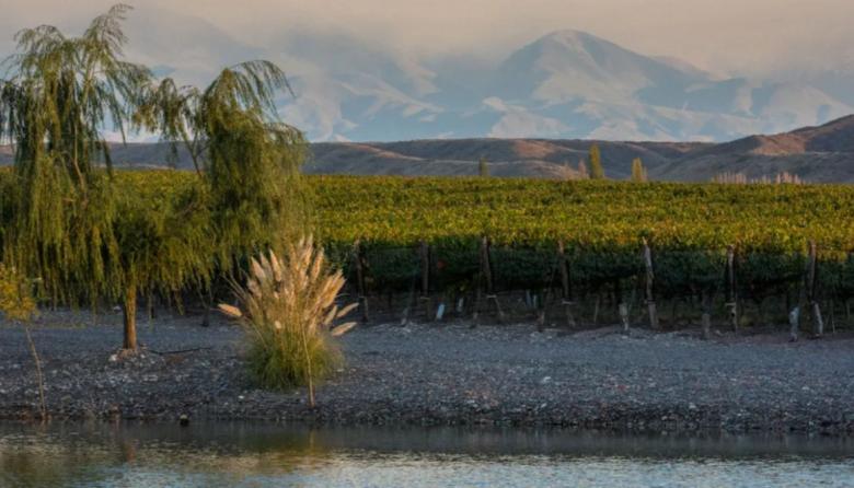 Una cadena internacional se quedó con una joya del enoturismo mendocino