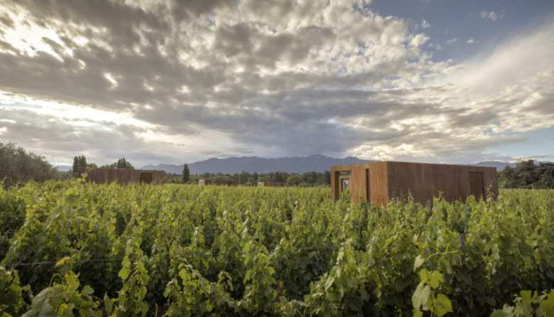 Dormir entre viñedos y despertar frente a Los Andes: así es el hotel de vino elegido como el mejor de la Argentina