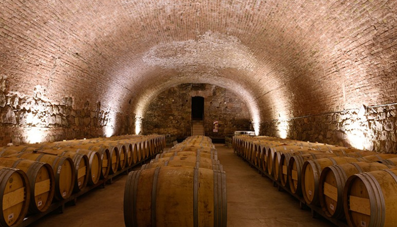 Enoturismo del futuro: Godoy Cruz tendrá el primer museo sensorial e inmersivo del vino en Argentina