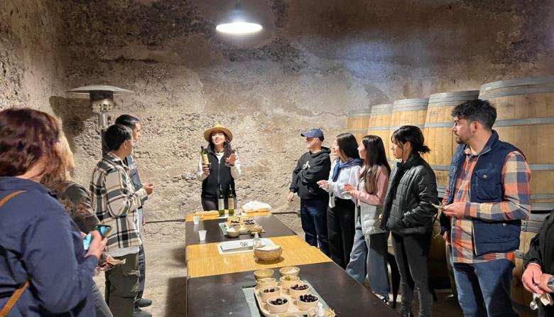 Mendoza, capital del oleoturismo argentino: claves de un nuevo modelo turístico y productivo