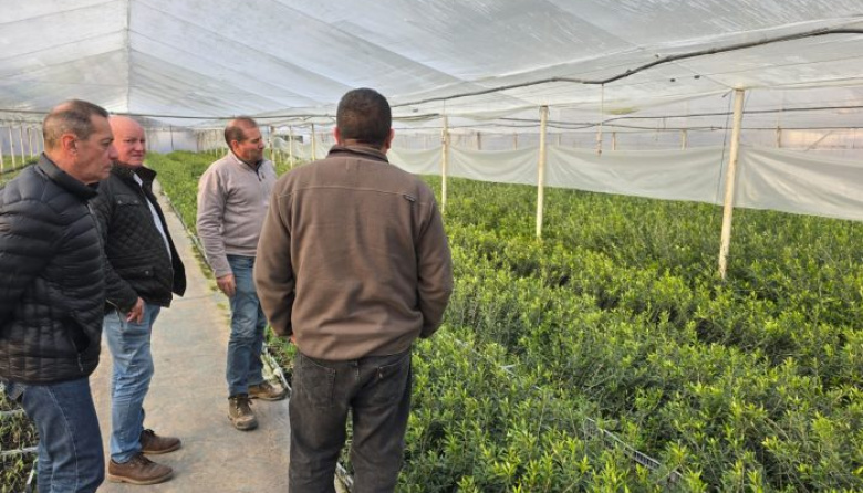 Una finca mendocina con 500 hectáreas ofrece oportunidades de inversión con alto potencial de retorno