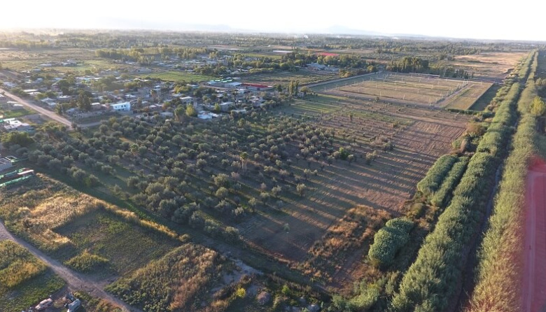 Un barrio sustentable en el corazón del cinturón agrícola: así será El Altillo, una comunidad verde a 13 km del centro