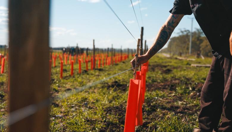 Chapadmalal suma protagonistas a la ruta de los vinos de mar