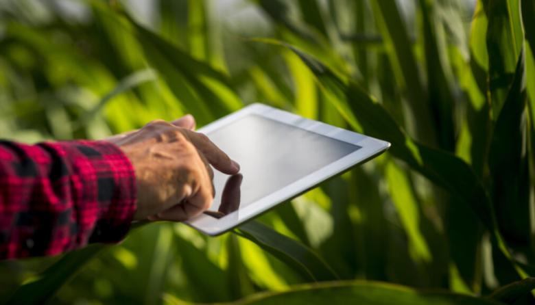 La digitalización en el negocio agropecuario: Agrospot conecta productores y compradores en un nuevo modelo