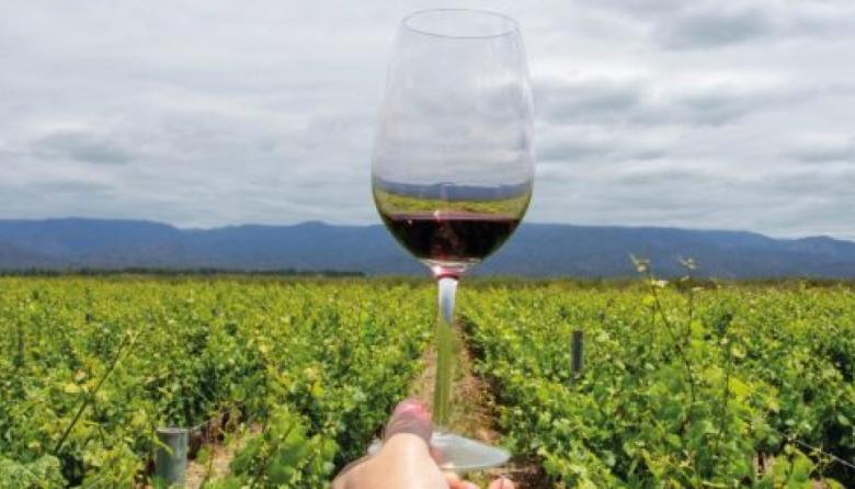 Verano 2026: Mendoza en el top 5 de los destinos "low cost" nacionales para vacacionar