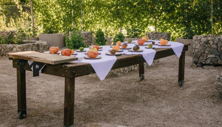 Del Tomate 2026: chefs, territorio y rituales culinarios en una experiencia gastronómica única en Mendoza