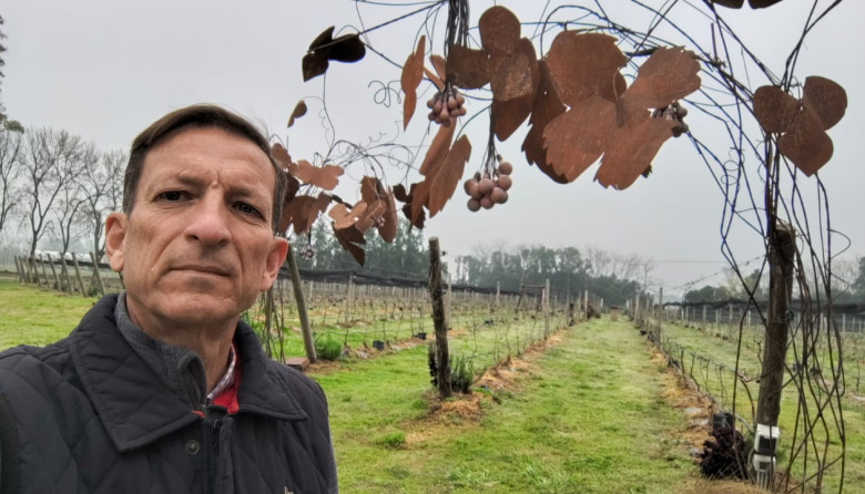 El vino argentino se federaliza: Vivero Mercier ya certifica genética de precisión para 21 provincias