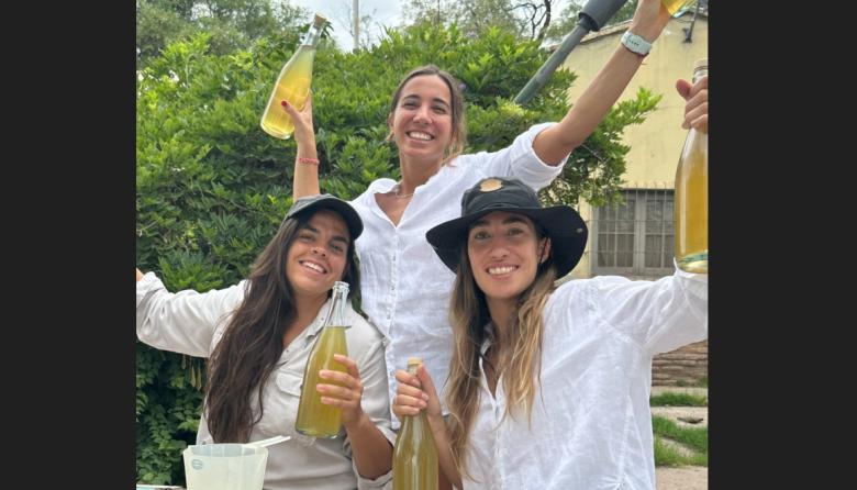 Dionisias, la feria de mujeres del vino, vuelve al Museo Fader con sabores, vermuts y destilados de autor