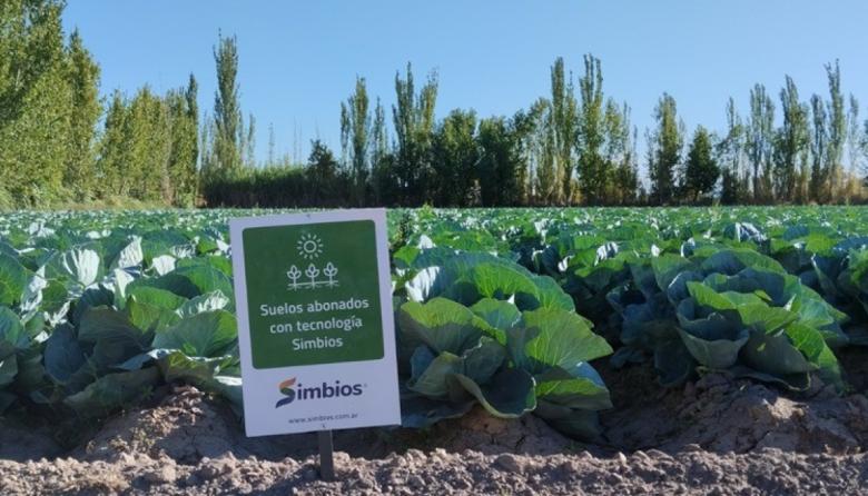 Del suelo a la cosecha: la nueva tecnología natural que impulsa la productividad