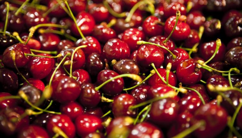 Cerezas en Mendoza: la cumbre internacional que reunirá a referentes de cinco países