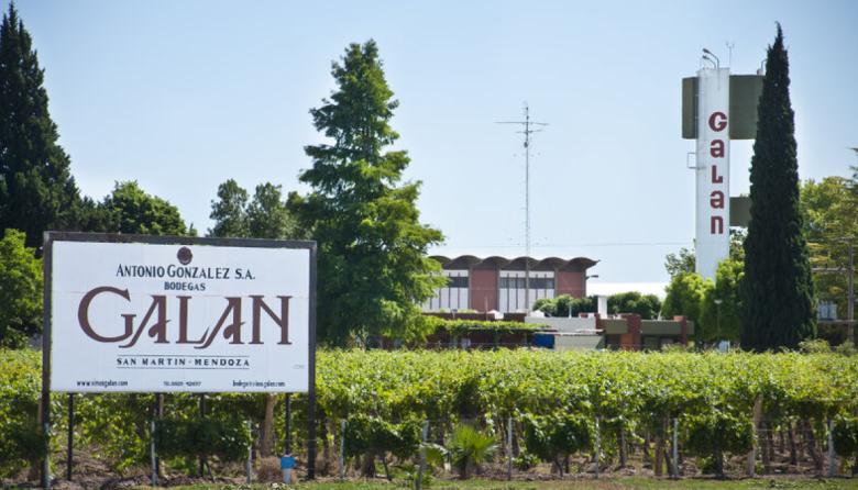 Juicio con Iberte: una pericia oficial pone contra las cuerdas a Bodega Galán de San Martín