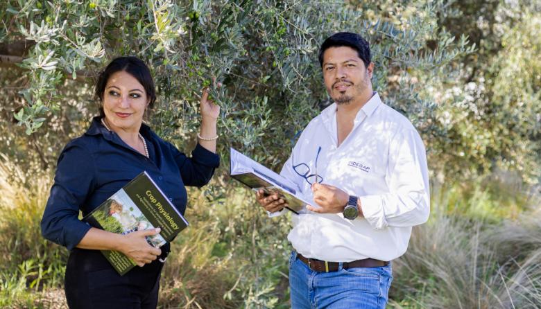 Hito para el agro local: dos ingenieros mendocinos entre los mayores expertos mundiales en fisiología vegetal
