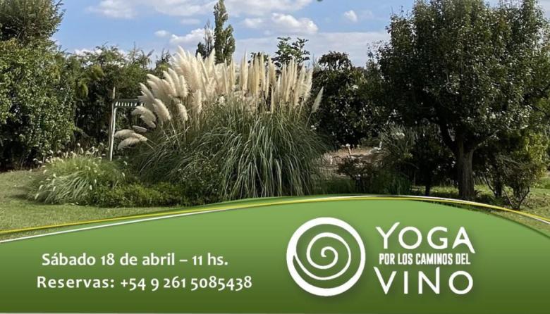 Bienestar y relax entre viñedos: Yoga por los Caminos del Vino llega al Espacio 6535