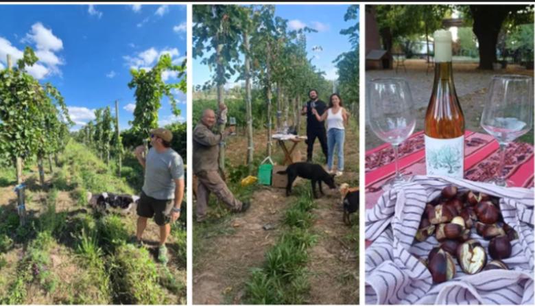 No estoy verde: el Charly García mendocino que hace vinos "fuera de la autopista" en Luján