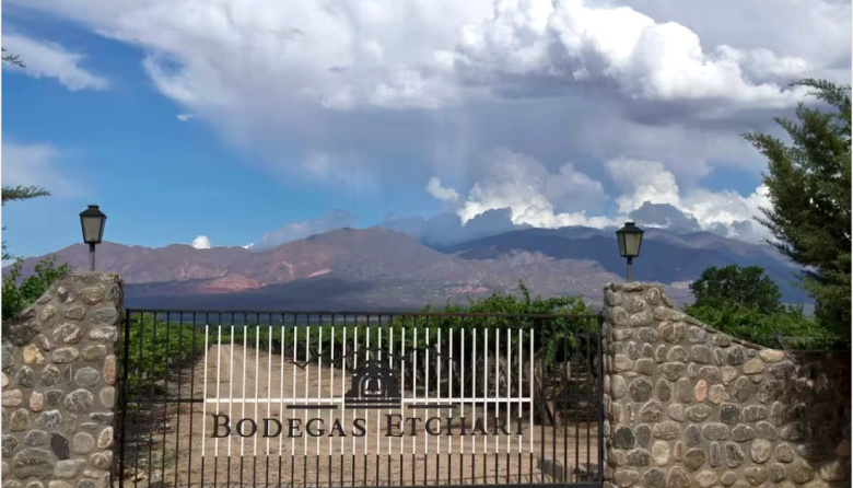 Expansión: Molinos Río de la Plata compró la salteña Etchart y suma su sexta bodega en Argentina