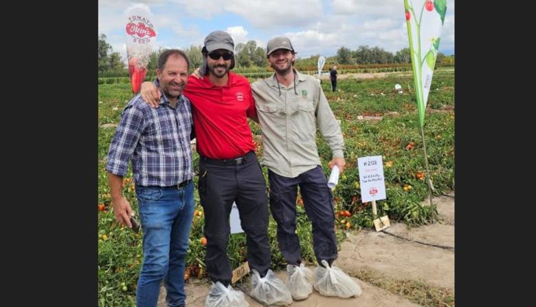 Semillas de tomate: el proveedor mendocino que abastece a Heinz y a los gigantes de la industria