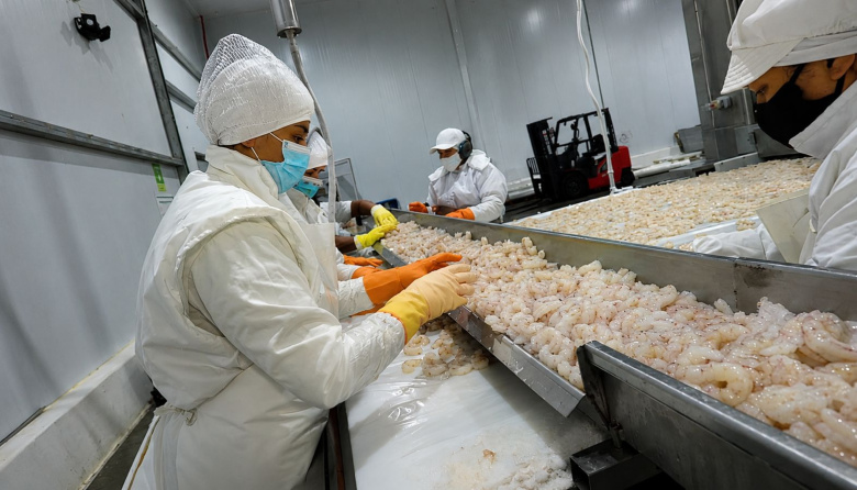 Exportaciones: Cabo Vírgenes compró Sea Fresh y reconfigura el mapa de la pesca argentina