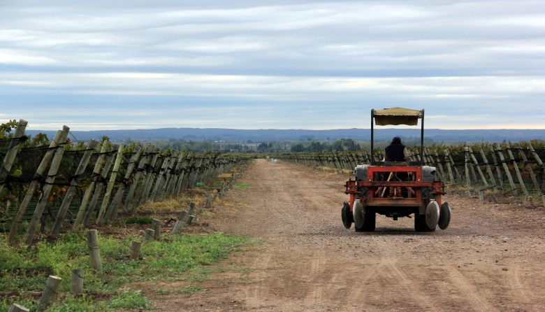 La empresa que ayuda a hacer e invertir en vinos incorpora producción propia en Italia
