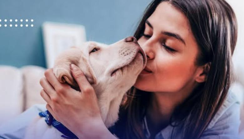 Nuevo beneficio: ahora los socios de OSDE cuentan con cobertura veterinaria para sus mascotas