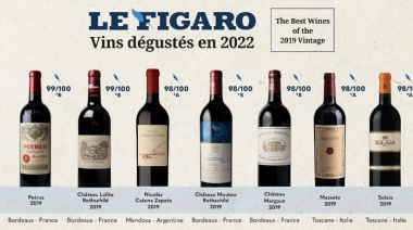 ¿Otro Juicio de París? Francia puso a un vino mendocino a la altura de los mejores del mundo