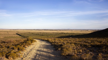 El punto más austral: el Valle de Sarmiento, en Chubut, ya tiene su propia Indicación Geográfica