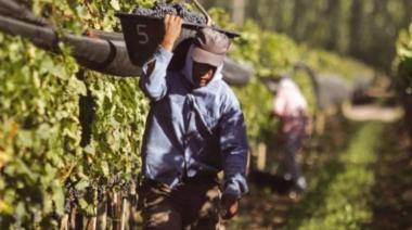 Destinarán $500 millones para asistir a productores vitivinícolas en situación de vulnerabilidad