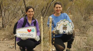 Verallia echa raíces en Mendoza: dona 400 plantas nativas para reforestar el Cerro Arco